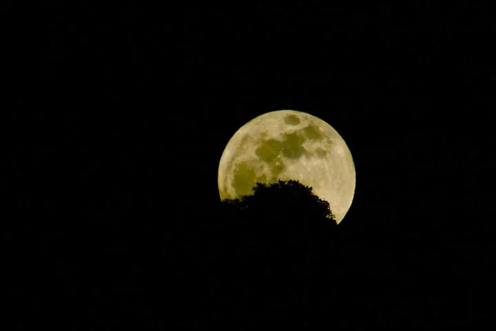 Ein heller Vollmond am schwarzen Nachthimmel